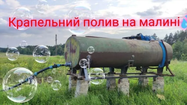 Який краще зробити краплинний полив на малину