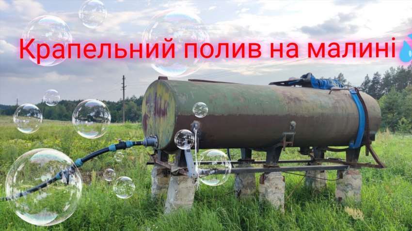 Який краще зробити краплинний полив на малину