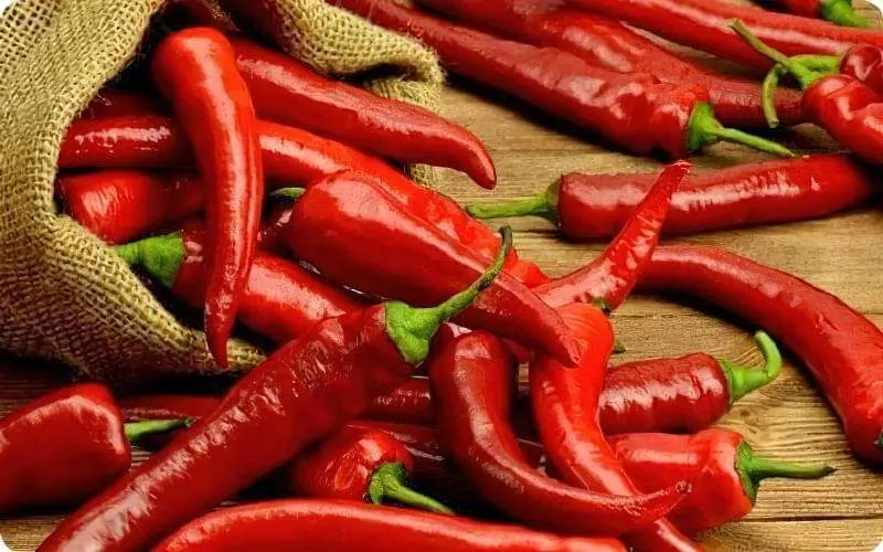 Повний гід із першої допомоги при опіку гострим перцем