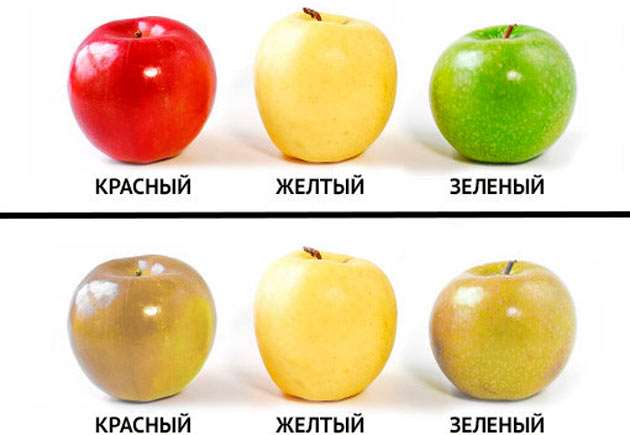 Як бачать дальтоніки: занурення в унікальний світ кольорів