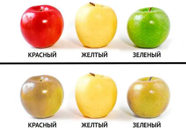 Як бачать дальтоніки: занурення в унікальний світ кольорів