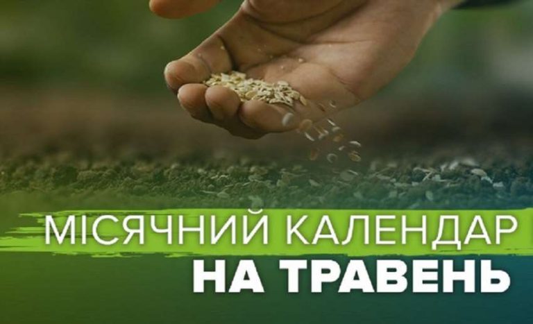 Травневий посівний календар: ваш путівник до щедрого врожаю