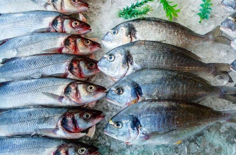 Що віщує сон з великою кількістю риби для жінки