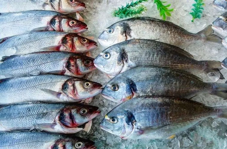 Що віщує сон з великою кількістю риби для жінки