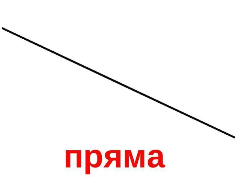 Скільки прямих можна провести через дві точки і чому це неможливо оскаржити