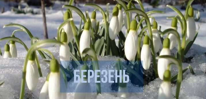 Березень як він є - повний гід по третьому місяцю року