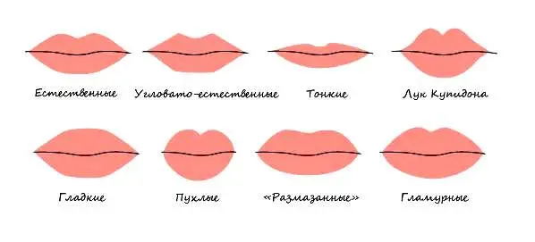 Які бувають форми губ - розбираємо всі деталі