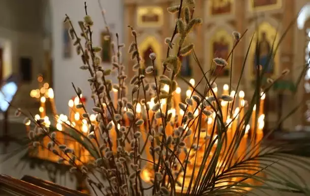 Чи можна садити на Вербну неділю насправді