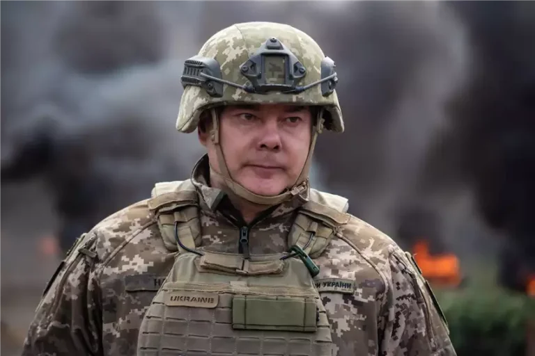 Архітектор північної фортеці