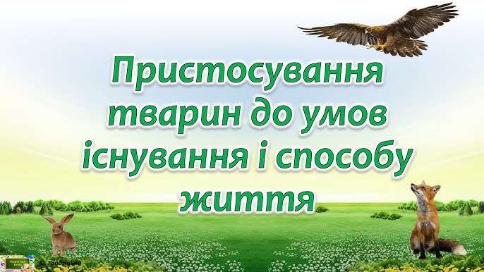 Тварини як архітектори родючості - хто й як покращує ґрунт