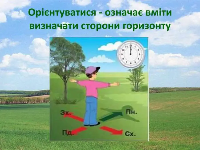 Орієнтування без компаса: як завжди знати, де північ