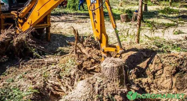 Як викорчувати коріння на ділянці без надмірних зусиль
